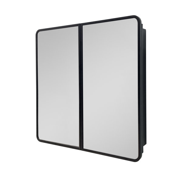 Latitude Run® 32 In. Black Metal Framed Wall Mount Or Recessed Bathroom